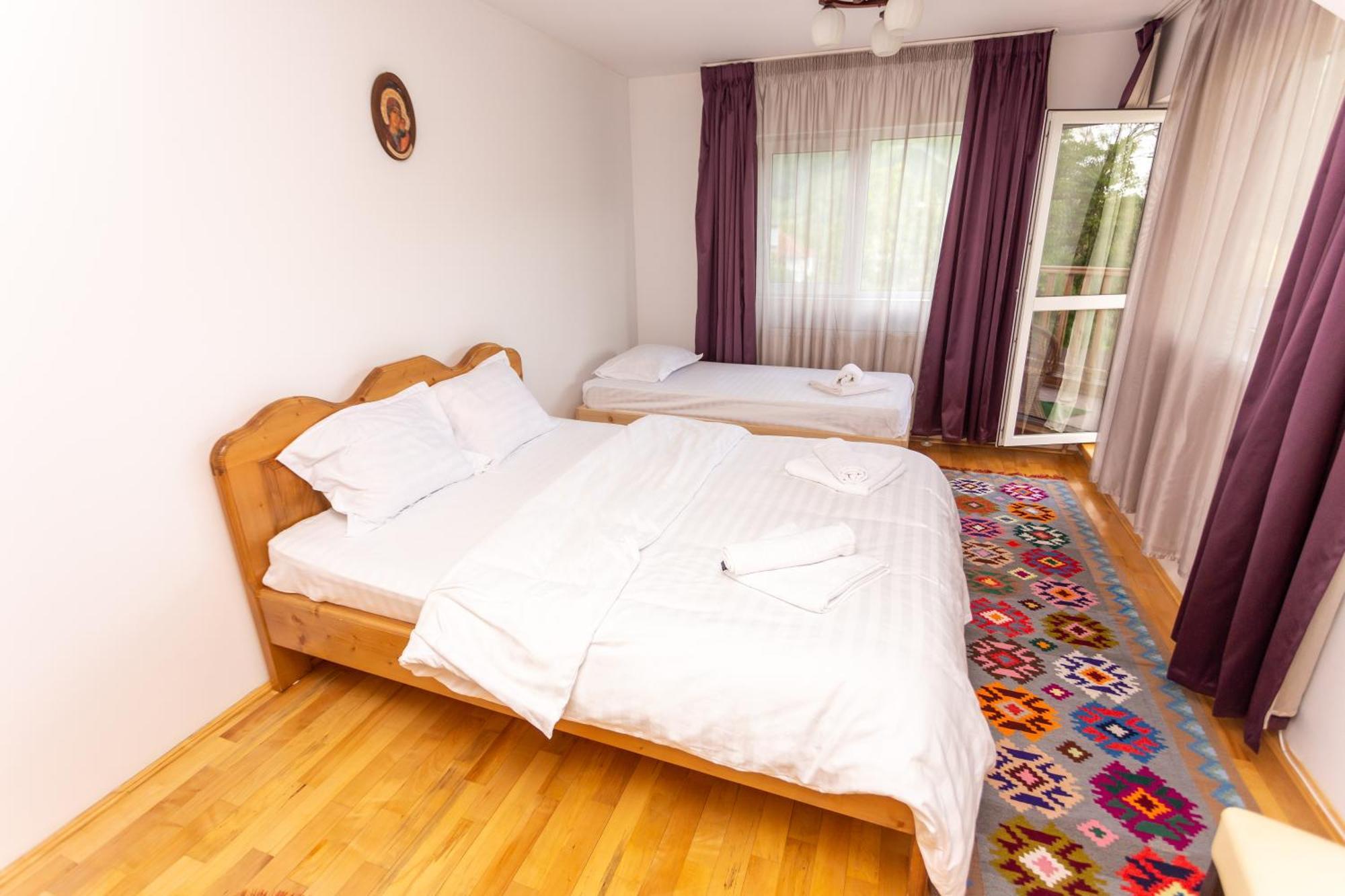 Casa Rumelia Paltineni 외부 사진