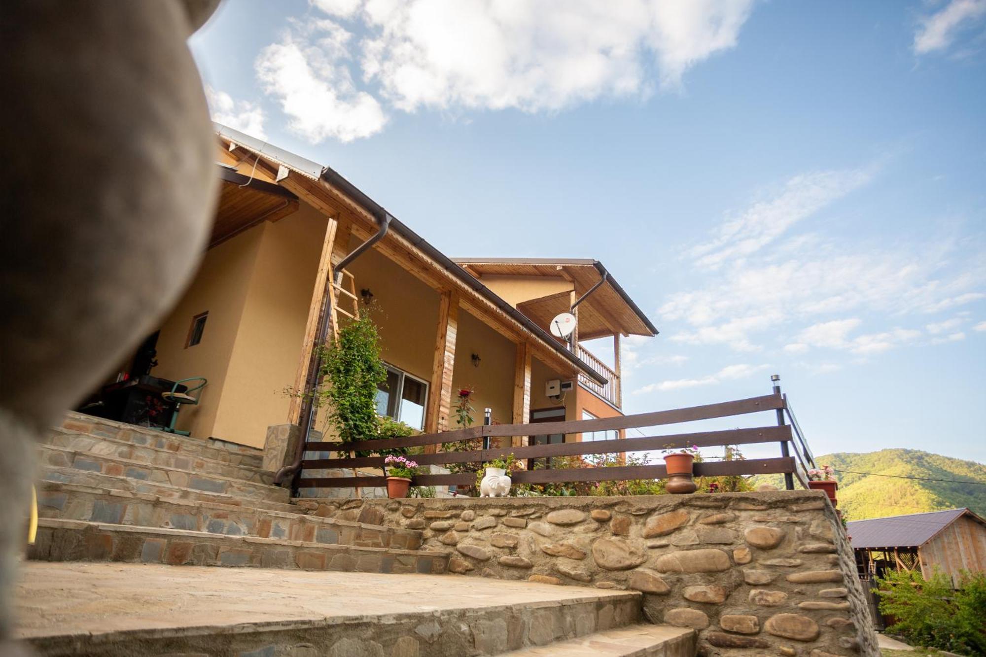 Casa Rumelia Paltineni 외부 사진