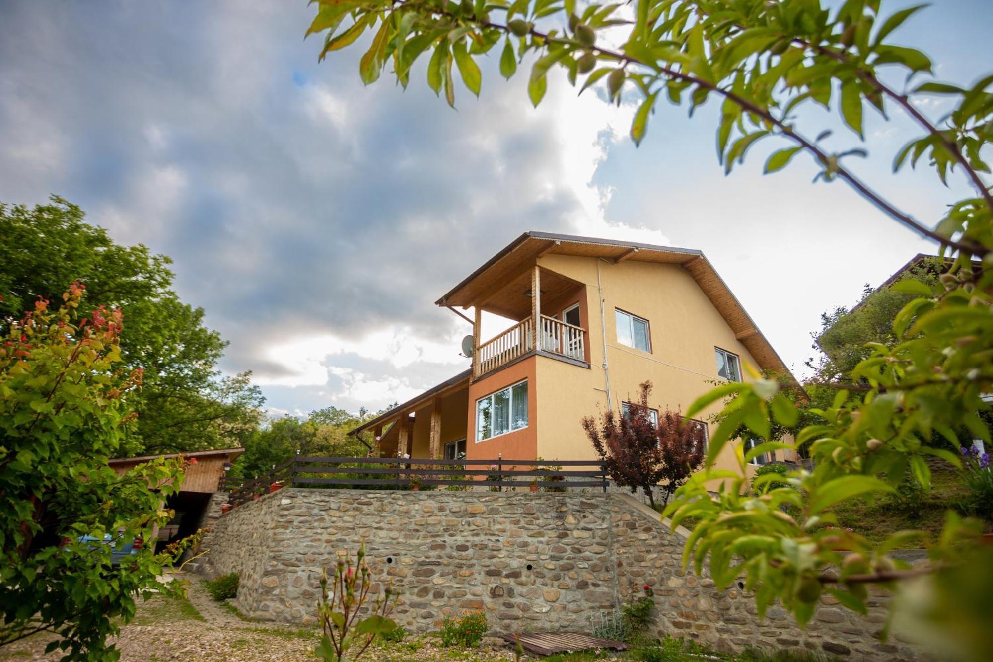 Casa Rumelia Paltineni 외부 사진