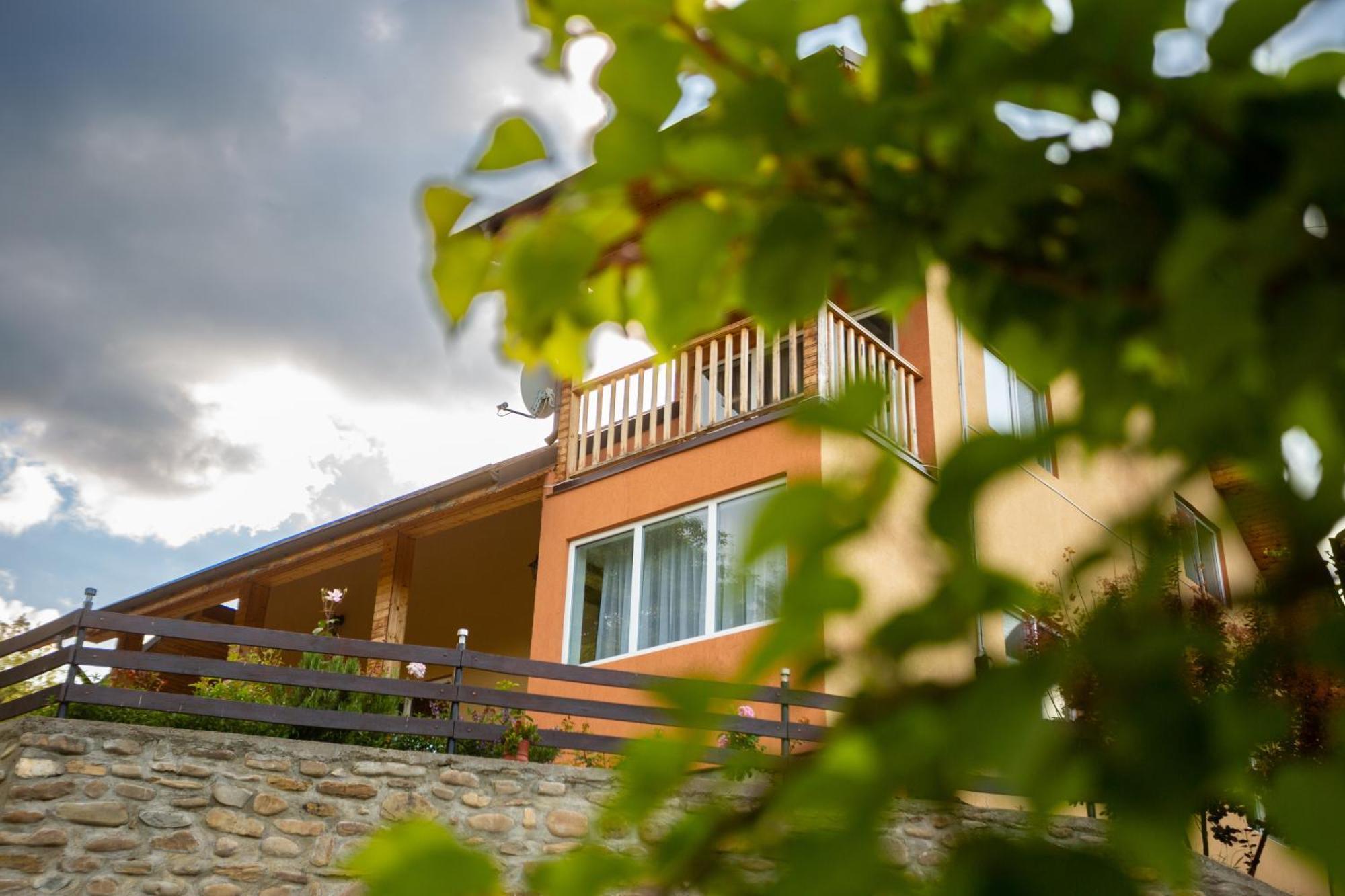 Casa Rumelia Paltineni 외부 사진