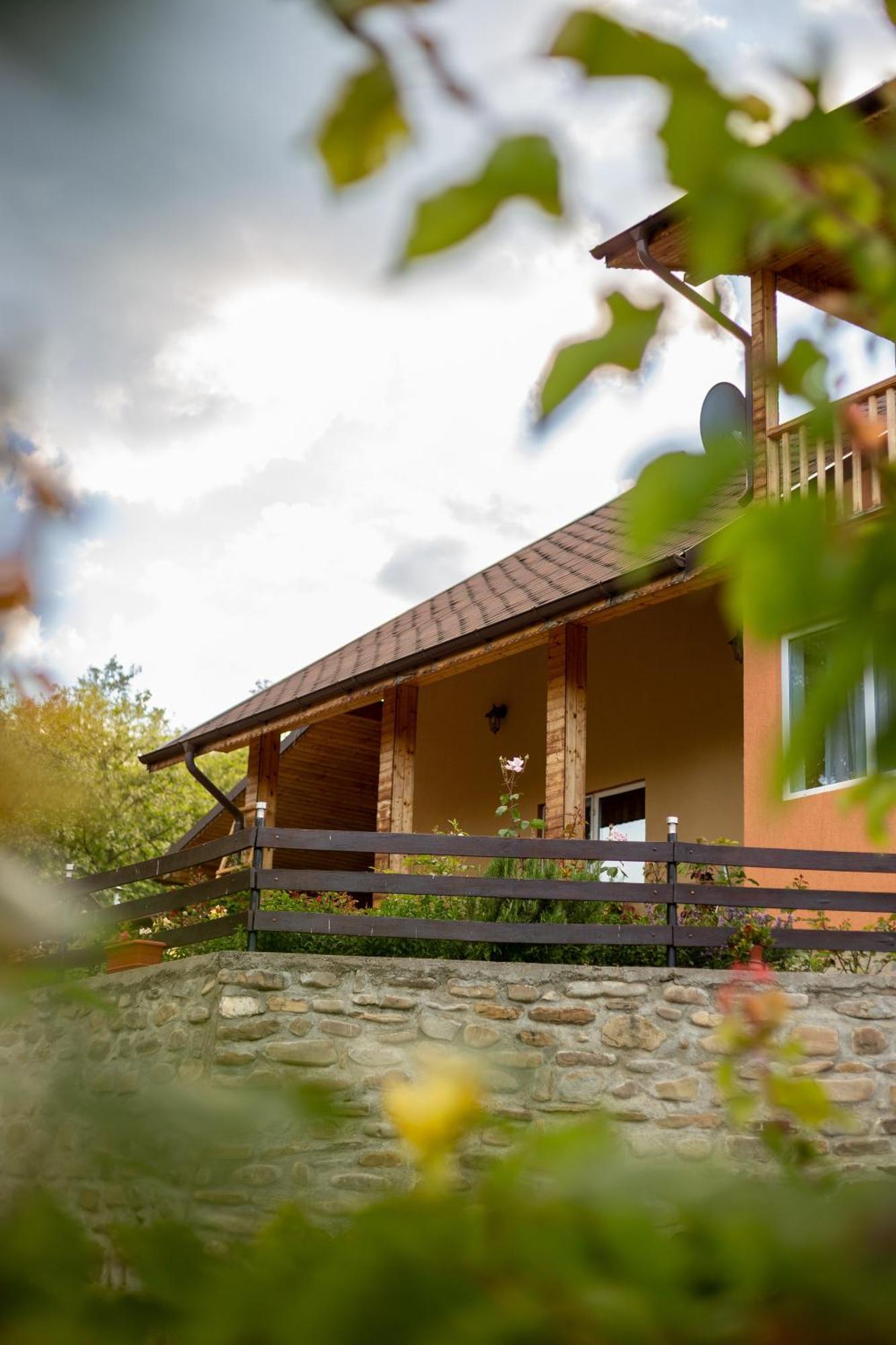 Casa Rumelia Paltineni 외부 사진