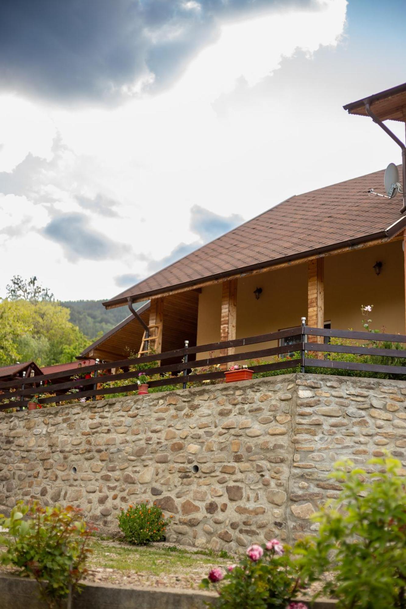 Casa Rumelia Paltineni 외부 사진