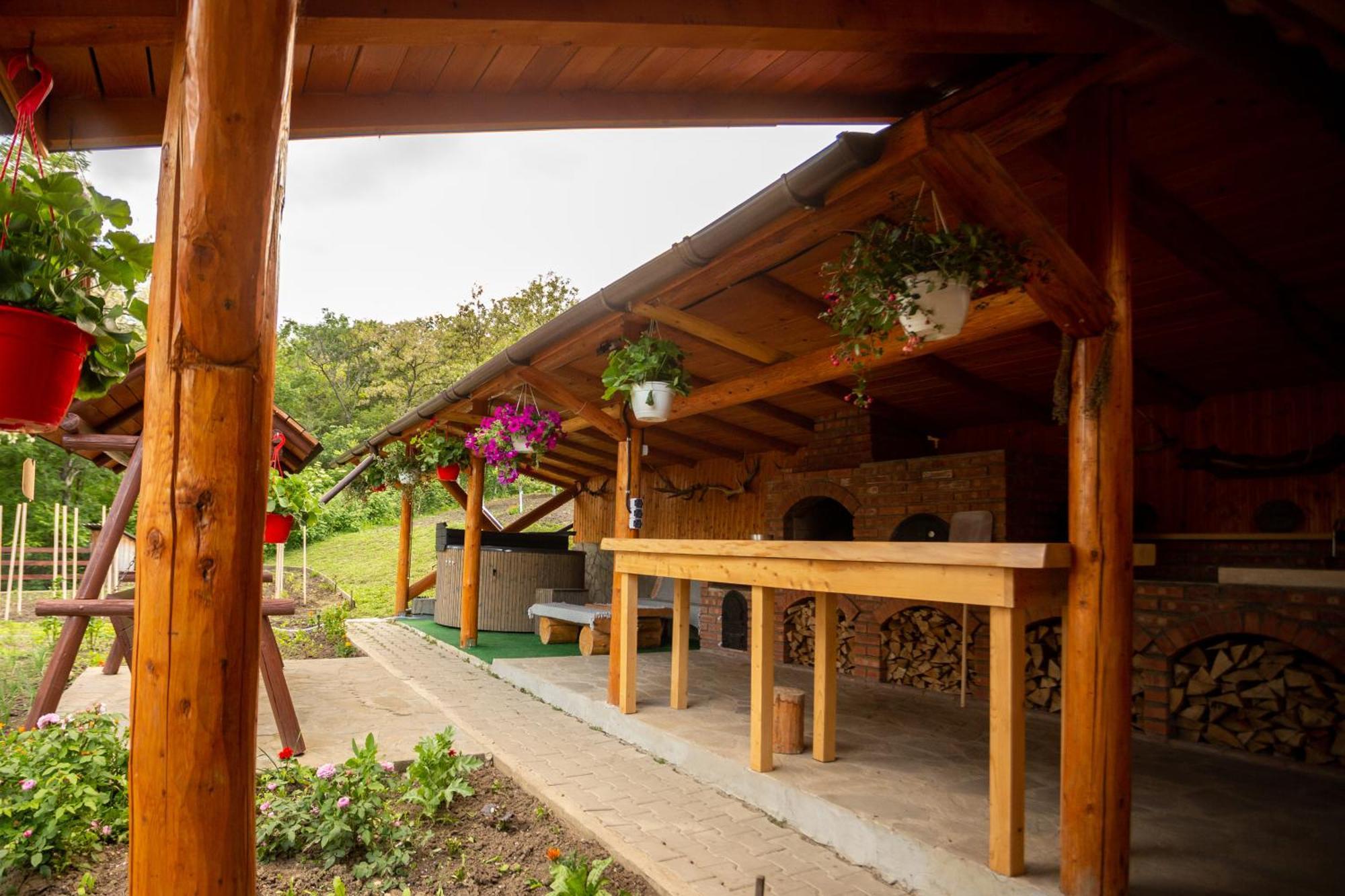 Casa Rumelia Paltineni 외부 사진