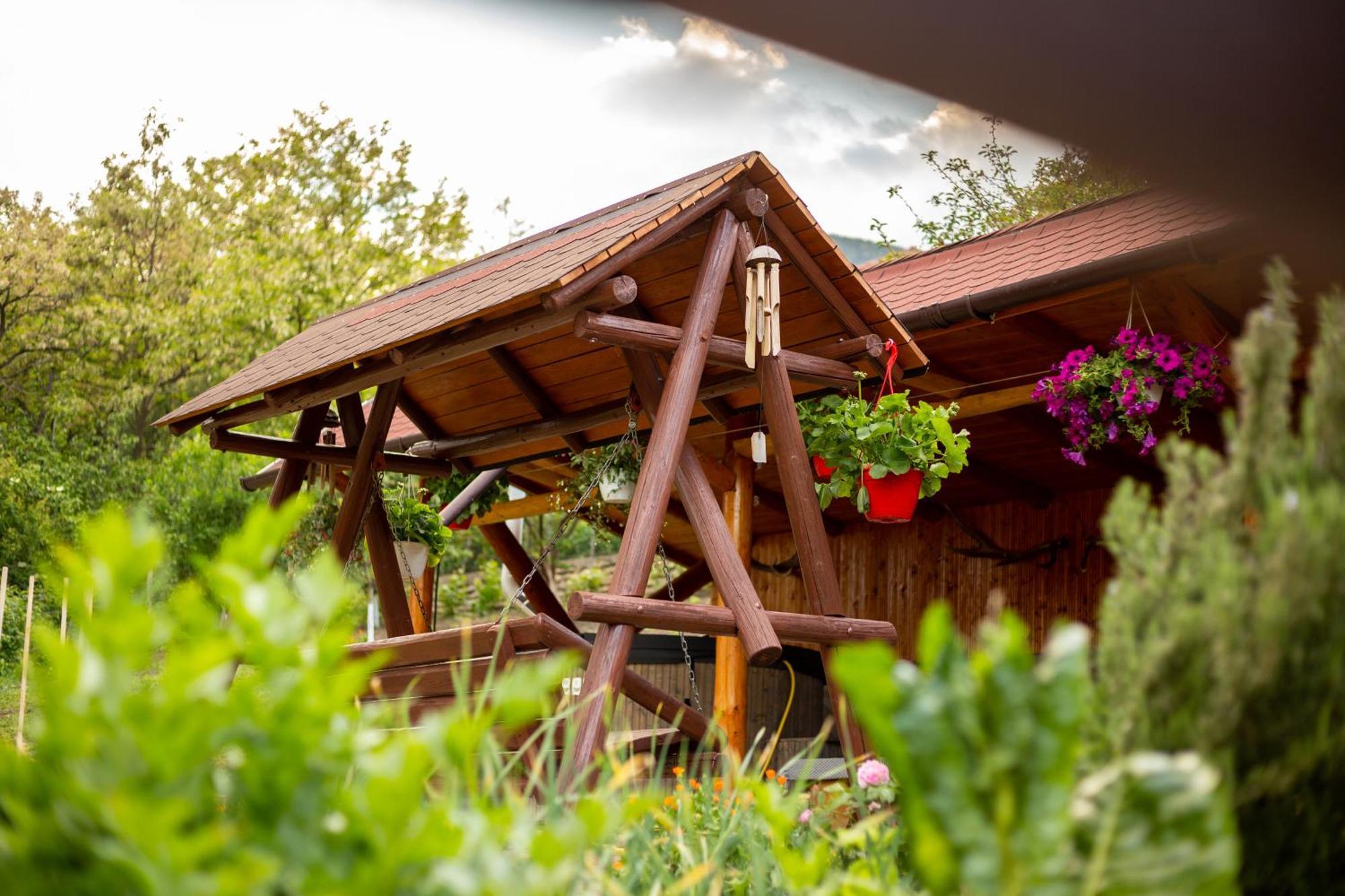 Casa Rumelia Paltineni 외부 사진